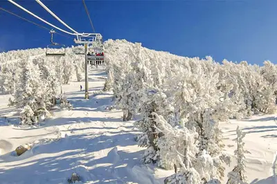 a ski lift with snow covered trees on a ski slope at Discovery 4 119 in Mammoth Lakes