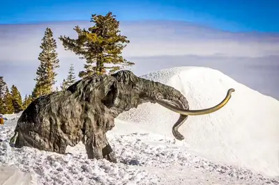 a statue of an elephant in the snow at Discovery 4 162 in Mammoth Lakes