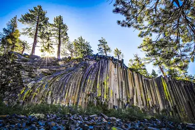 a wooden fence with trees on top of a hill at Discovery 4 162 in Mammoth Lakes