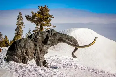 a statue of an animal in the snow at Eagle Run 107 in Mammoth Lakes