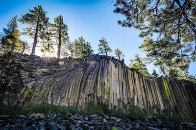 a group of people standing on top of a tree covered hill at Snowcreek 847 in Mammoth Lakes