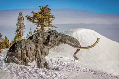 a statue of an animal in the snow at The Bridges 23 in Mammoth Lakes