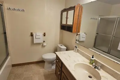 a bathroom with a sink and a toilet at Forest Treasure (01/497) in Groveland