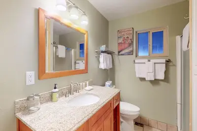 a bathroom with a sink and a toilet and a mirror at West Shore Lakeview Beauty* in Homewood