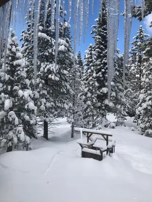a picnic table in a snowy forest with snow covered trees at Kingswood Estate Cabin Retreat in Kings Beach