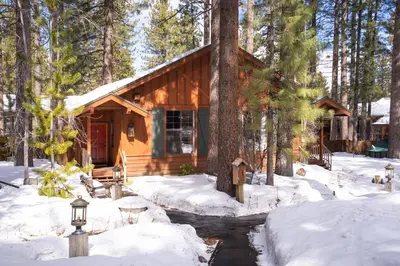 a log cabin in the snow in the woods at Black Bear Lodge in South Lake Tahoe