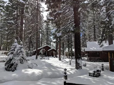 a snow covered yard with a cabin and trees at Black Bear Lodge in South Lake Tahoe