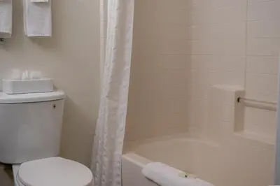 a bathroom with a white toilet and a shower at Quality Inn & Suites Fresno Northwest in Fresno