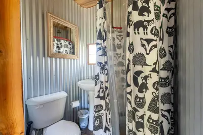 a bathroom with a toilet and a shower curtain at Hawk's Rest in Oakhurst