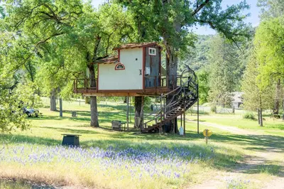 a tree house in a tree with purple flowers at Hawk's Rest in Oakhurst