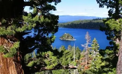 a lake with a island in the middle of a forest at Lodge at Kingsbury Crossing in Stateline