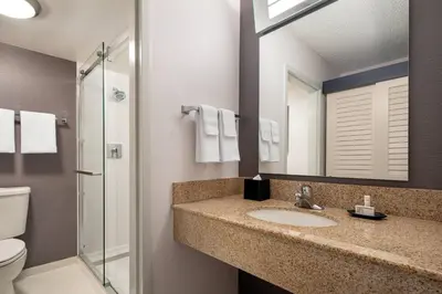 a bathroom with a sink and a toilet and a mirror at Courtyard Sacramento Rancho Cordova in Rancho Cordova