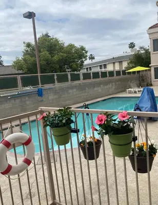 a balcony with potted plants and a swimming pool at Comfort Suites Tulare Sequoia Gateway in Tulare