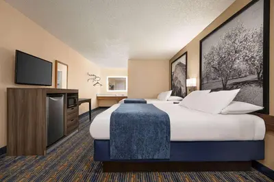 a hotel room with a large bed and a flat screen tv at Super 8 by Wyndham Lindsay Olive Tree in Lindsay