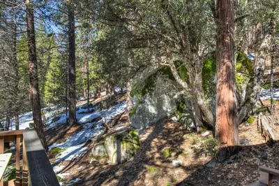 a snowy trail in a forest with trees at 24B Birds Eye View in Wawona
