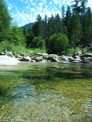 a stream of water with rocks and trees at 39 River Song in North Wawona