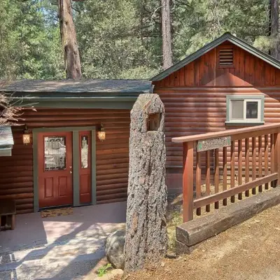 1L The Tree House