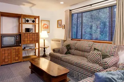 a living room with a couch and a tv at 22B Bradleys Cabin in Wawona