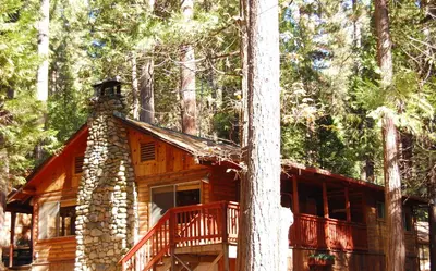 a log cabin in the woods with a tree at 76 Howards Retreat in North Wawona
