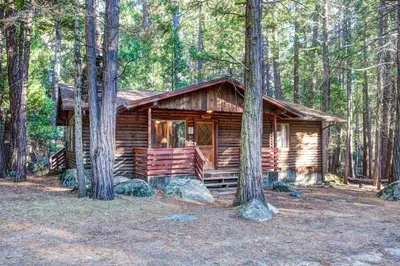 a log cabin in the middle of the forest at 4 Pine Creek Cabin in North Wawona