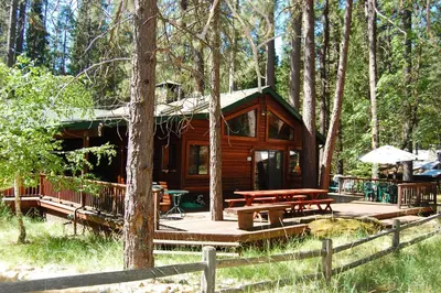 a log cabin in the woods with a picnic table at 93R Deer Lodge in North Wawona