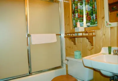 a bathroom with a shower and a toilet and a sink at 11 Shangri la-de-da in Wawona
