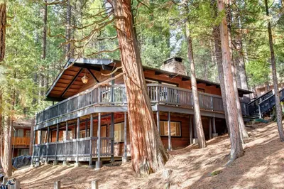 a house in the woods with trees at 18B Hiltbrand Hangout in Wawona