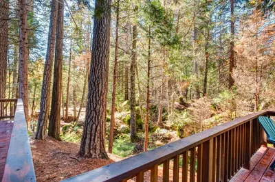 a wooden bridge in a forest with trees at 50R Soots-Me in Wawona