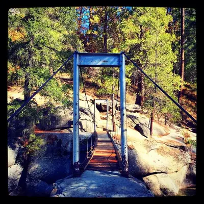 a suspension bridge over a river in a forest at 15B The Legacy in Wawona