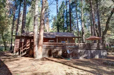 a log cabin in the middle of a forest at 53 Creekside Cabin in Wawona
