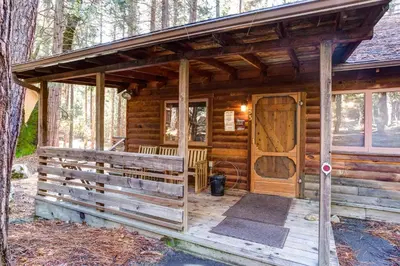 a cabin in the woods with a wooden door at 53 Creekside Cabin in Wawona