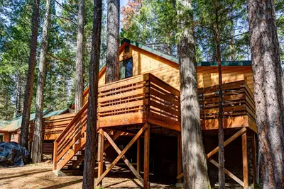 a wooden cabin in the woods with trees at 2N Big Pine Lodge in Wawona