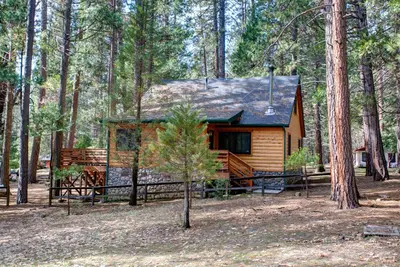 a log cabin in the middle of a forest at 2N Big Pine Lodge in Wawona