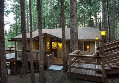 a log cabin in the woods with trees at 20B We-Dunn-It in Wawona