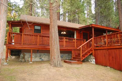 a cabin in the woods with a tree at 8 Nugents Nest in North Wawona
