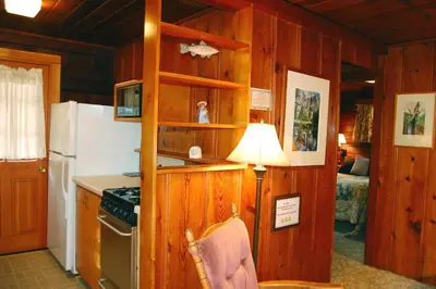 a kitchen with wooden walls and a refrigerator and a lamp at 8 Nugents Nest in North Wawona
