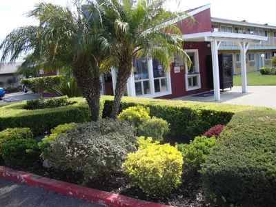 a palm tree and bushes in front of a building at Oasis Inn Sacramento- Elk Grove in Sacramento