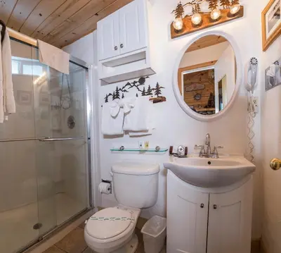 a bathroom with a toilet and a sink and a shower at Fireside Lodge in South Lake Tahoe