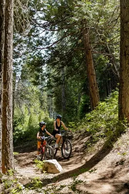 two people riding bikes on a trail in the woods at Tenaya at Yosemite in Fish Camp