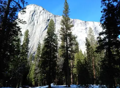 a mountain in the distance with trees in the foreground at Suite Sunshine in Yosemite West