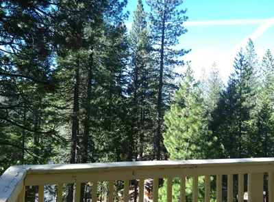 a wooden deck with trees in the background at Suite Sunshine in Yosemite West