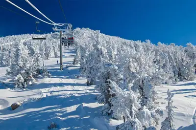 a ski lift with snow covered trees on a ski slope at Mammoth Pines 11 in Mammoth Lakes
