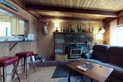 a living room with a couch and a fireplace at Foxtail Delight in Dora Belle