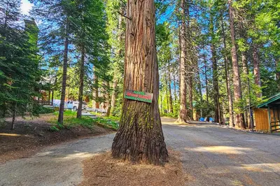 a tree with a sign on the side of it at Water's Edge Retreat in Shaver Lake