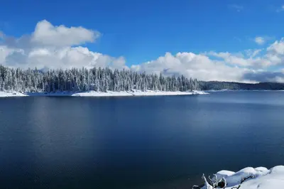 a view of a lake with snow covered trees at Blue Jay Condominium in Lakeshore