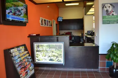 a restaurant with a counter with a dog on it at Motel 6 Oakdale, Ca in Oakdale