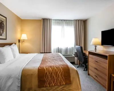 a hotel room with a bed and a desk and a television at Quality Inn Lone Pine near Mount Whitney in Lone Pine