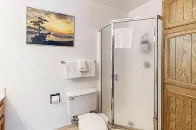 a bathroom with a toilet and a shower at Tahoe City Retreat in Lake Forest