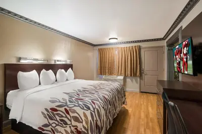 a hotel room with a bed and a television at Red Roof Inn Stockton in Stockton