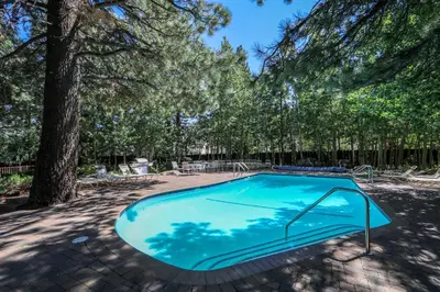 a swimming pool in a yard with trees at Chateau De Montagne #42 Condo in Mammoth Lakes